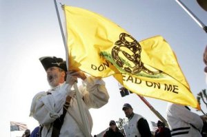 A Tea Party supporter in Revolutionary War garb carries the Gadsden Flag. The Obama administration has been clearly vindictive against conservative groups.